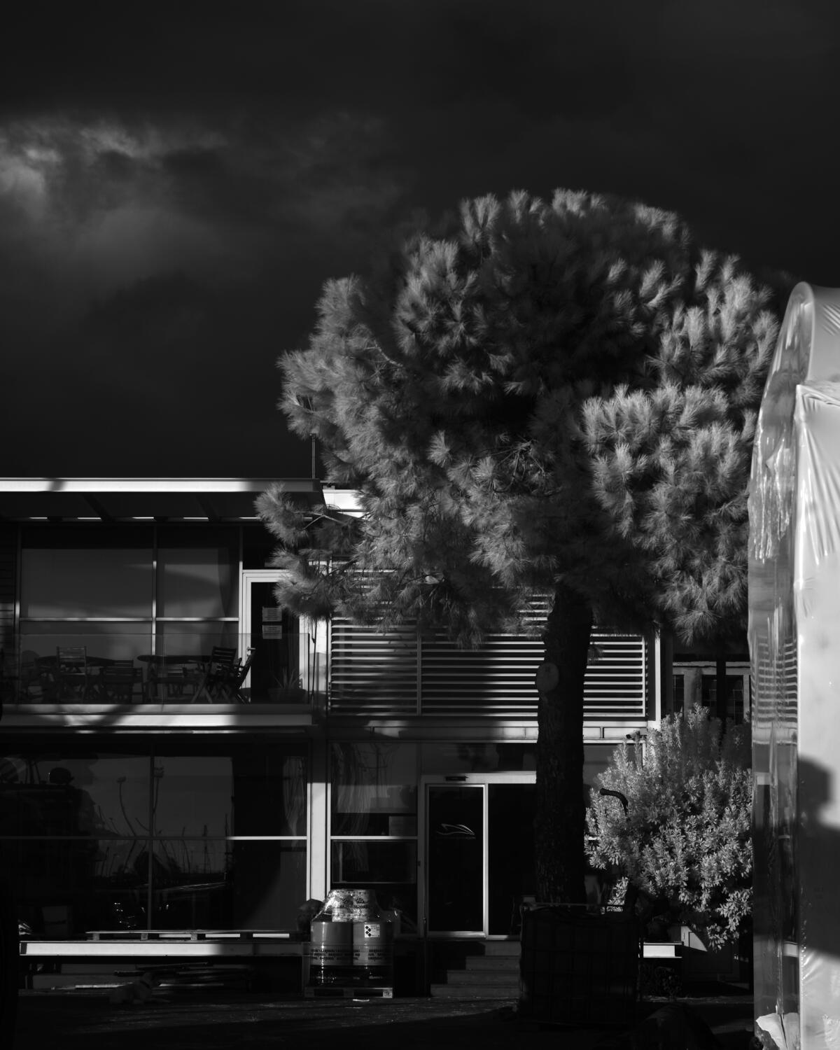 Edificio del cantiere tra i pini, Cantieri navali di Sestri