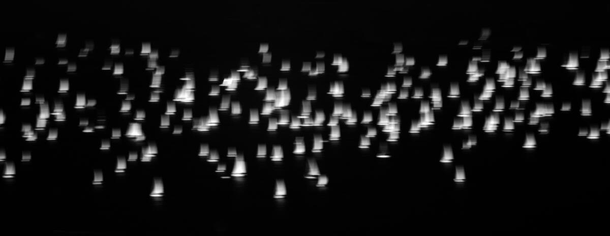Flotta di vele in movimento su fondo nero, Barcolana 2025